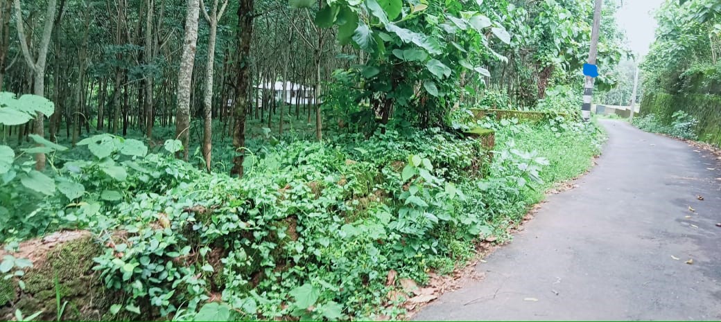 1.25Acre of Land