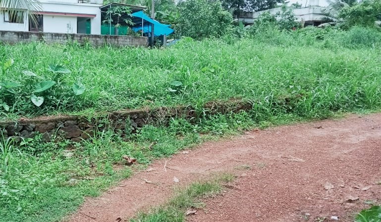 1.25Acre of Land