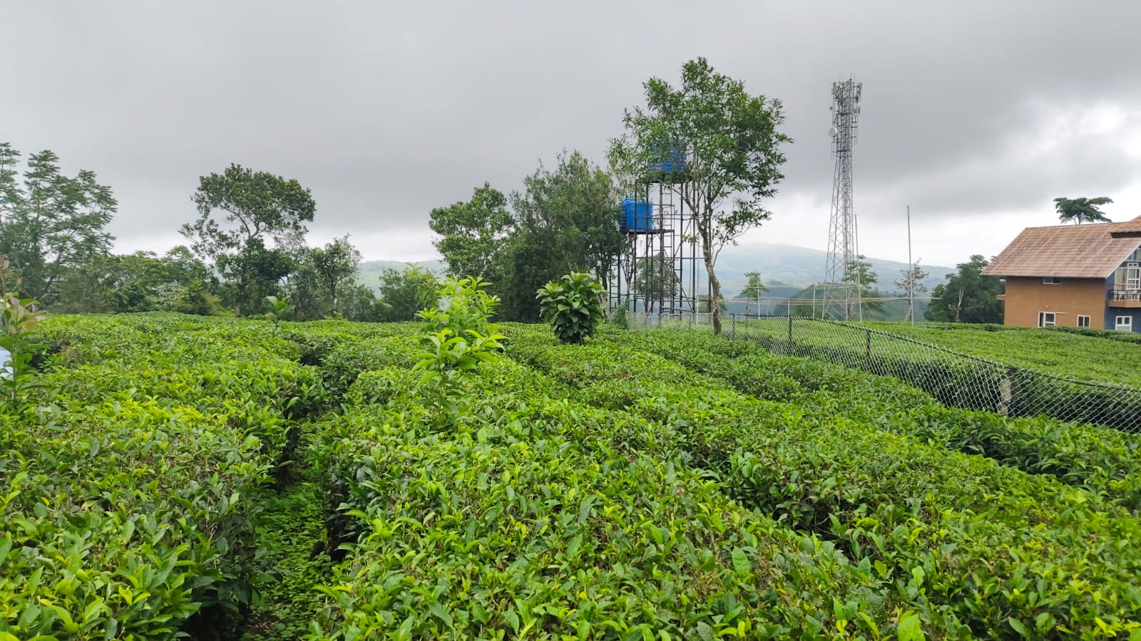 1.5 Acres of Land - for sale in Vagamon, Kochi ( Ernakulam ), Kerala