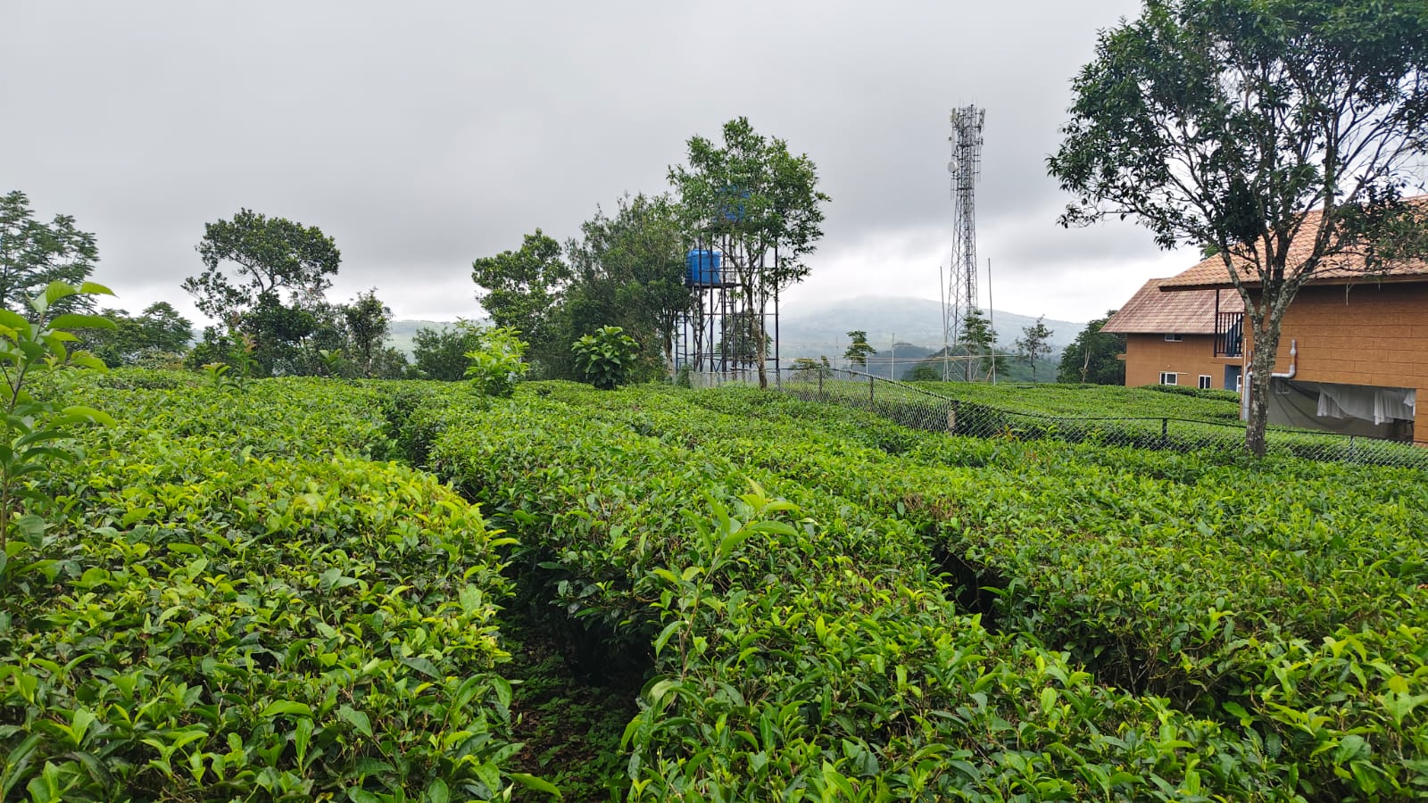 1.5 Acres of Land