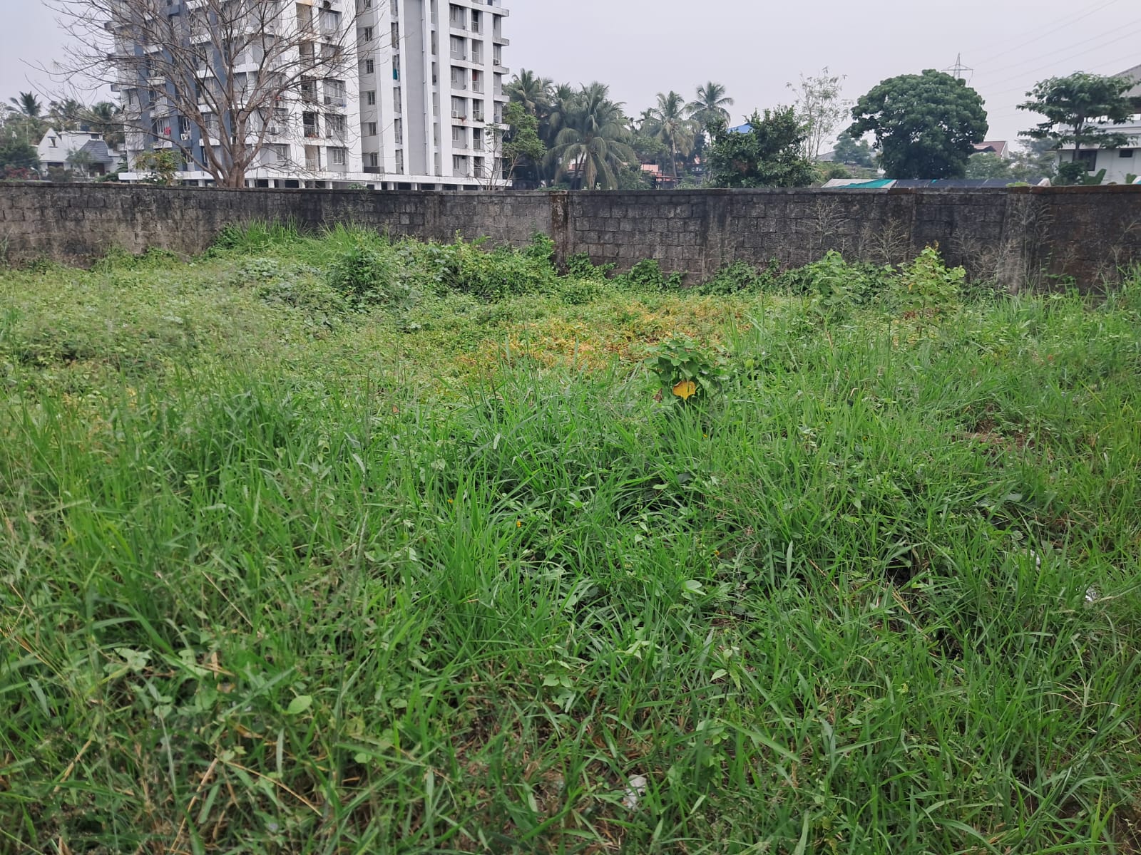 1.5 Acres of Prime Commercial Property - for sale in Kadavanthra, Kochi ( Ernakulam ), Kerala