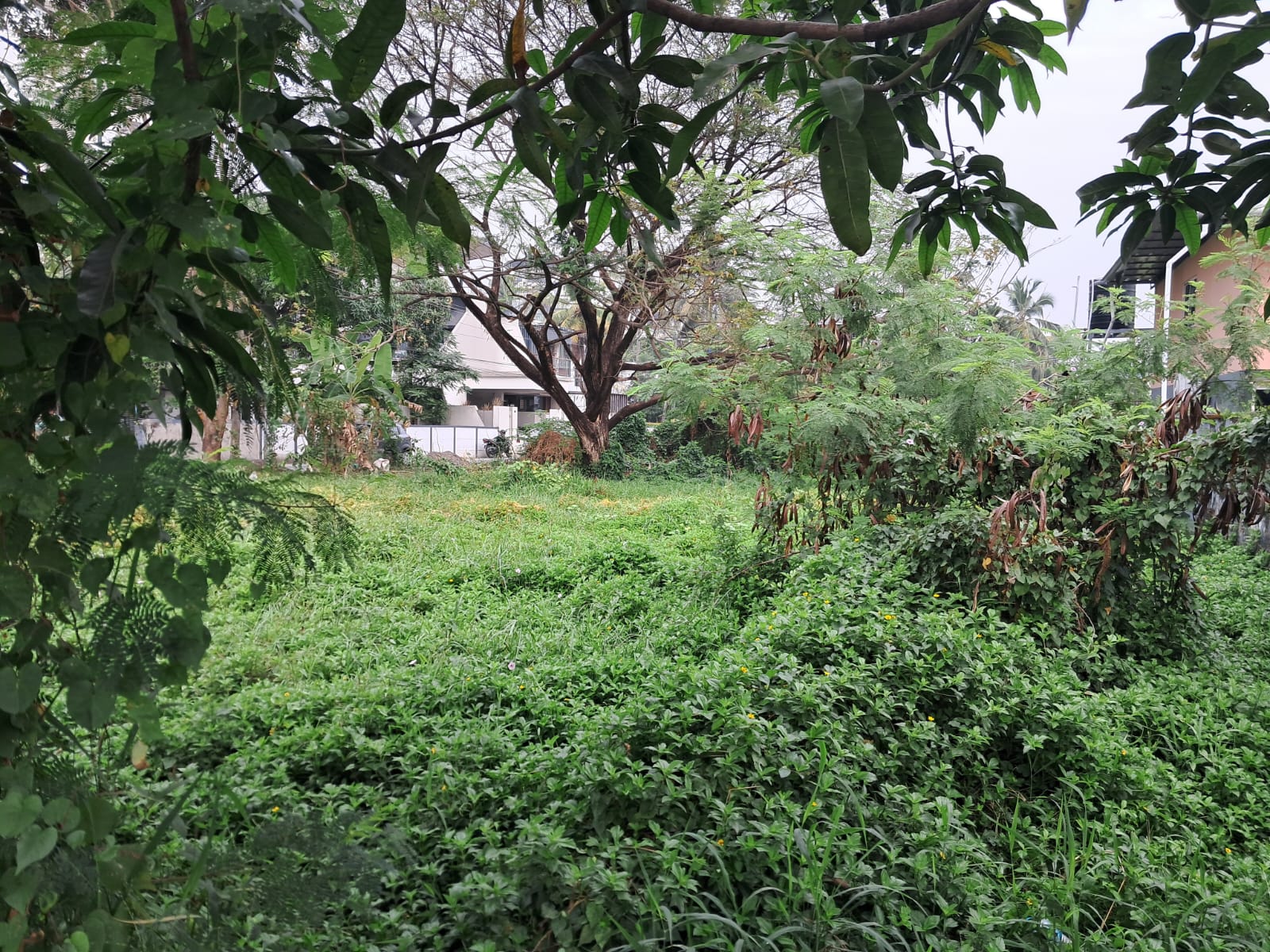 1.5 Acres of Prime Commercial Property