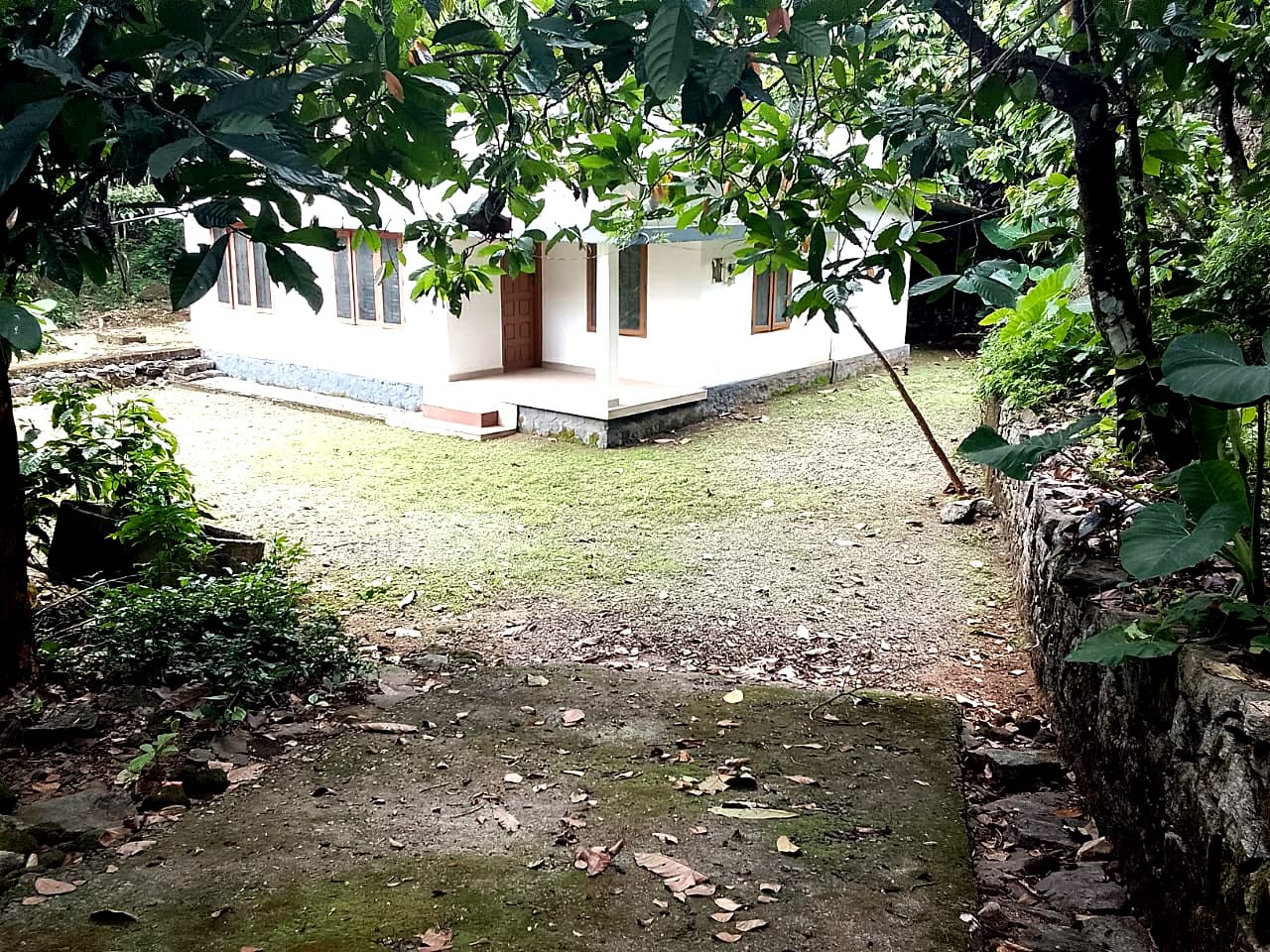 1.5Acres of Land with old House in Kanjikuzy, Idukki - for sale in Kanjikuzi Idukki, Idukki, Kerala