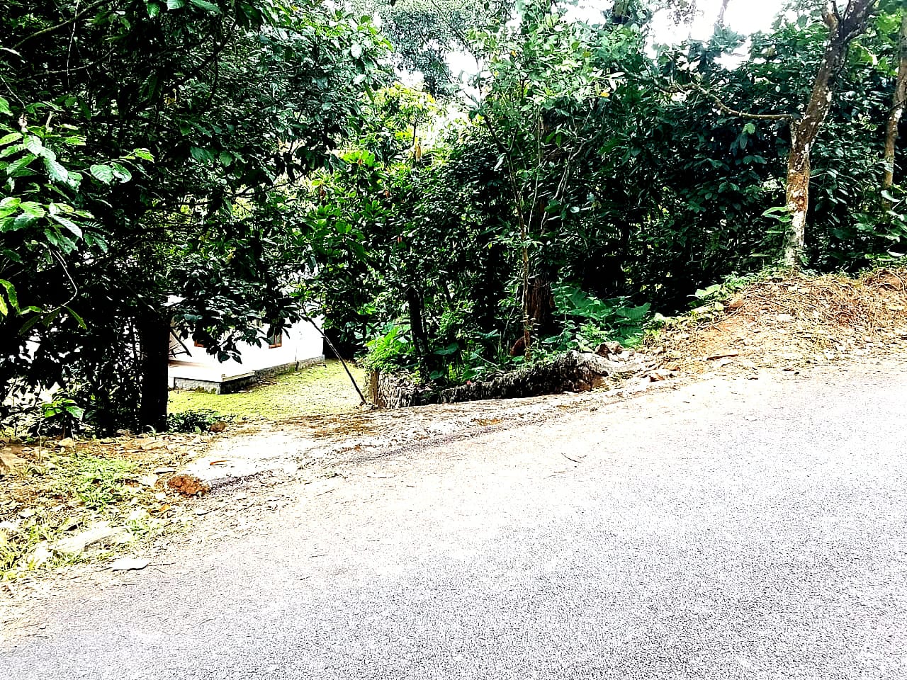 1.5Acres of Land with old House in Kanjikuzy, Idukki