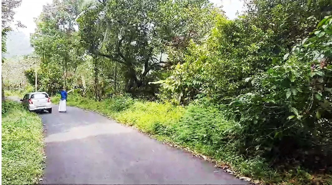 1.5Acres of Land with old House in Kanjikuzy, Idukki