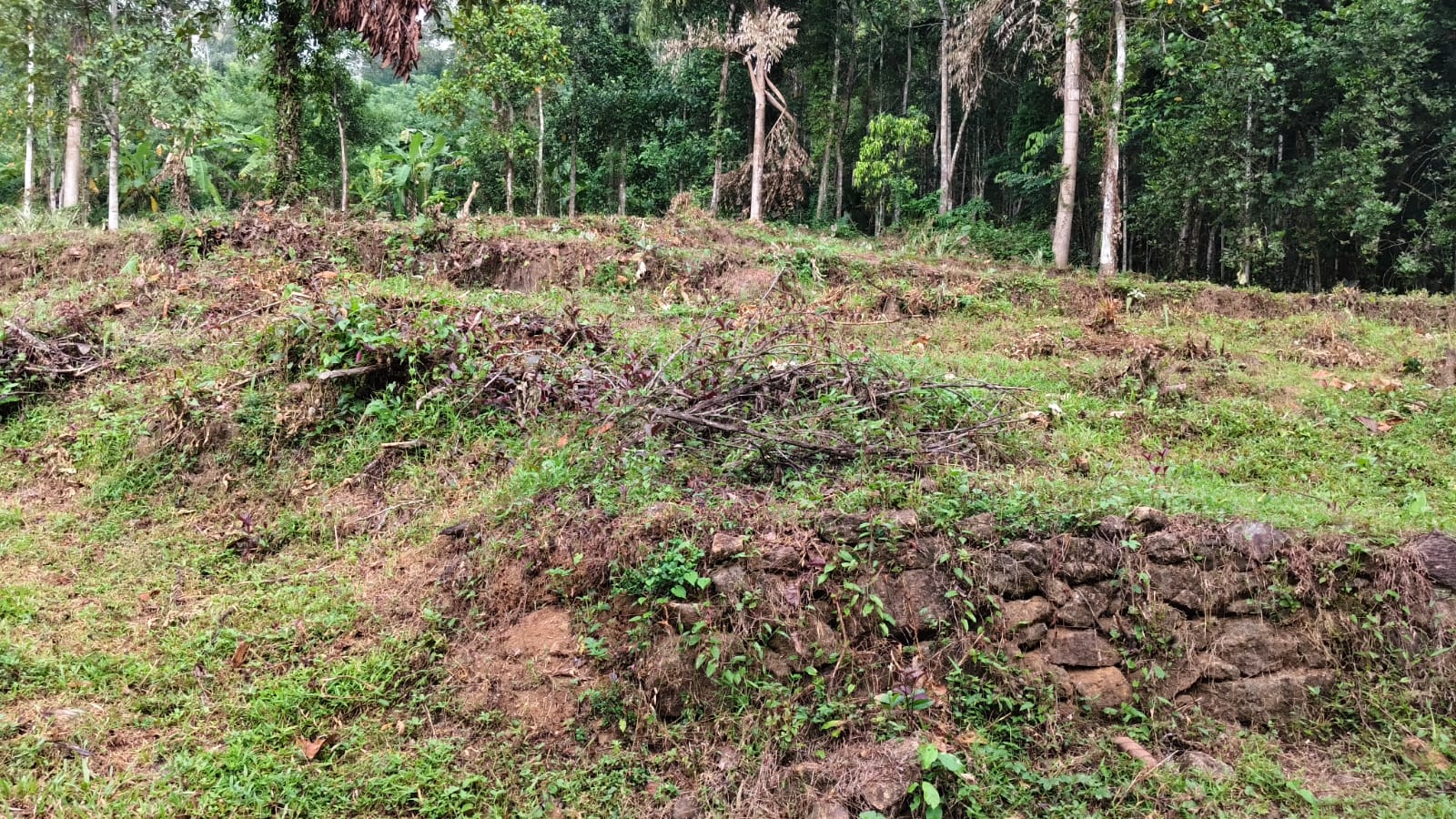 1 Acer 7 cents of Land - for sale in Moonilavu, Kottayam, Kerala