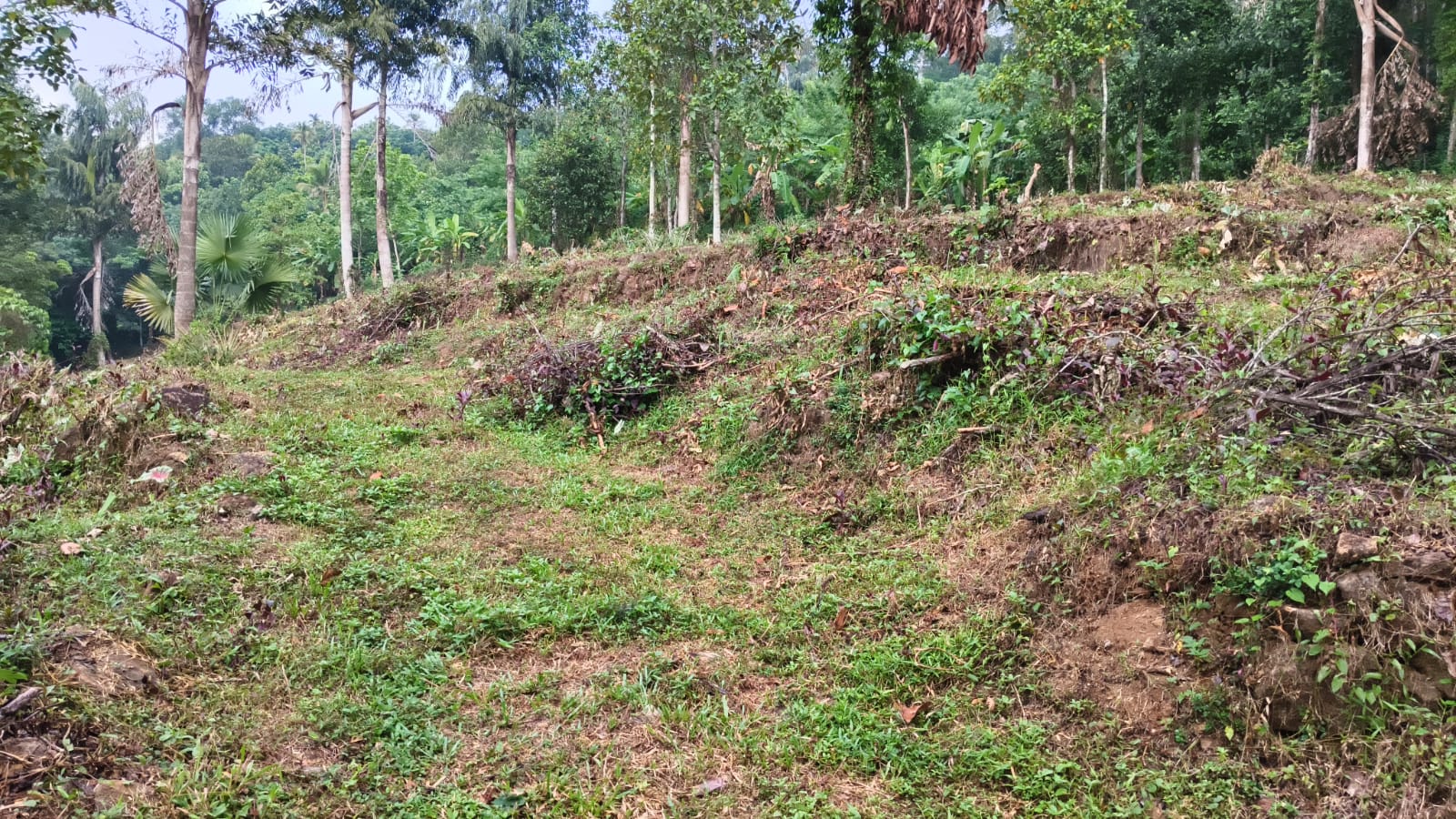 1 Acer 7 cents of Land