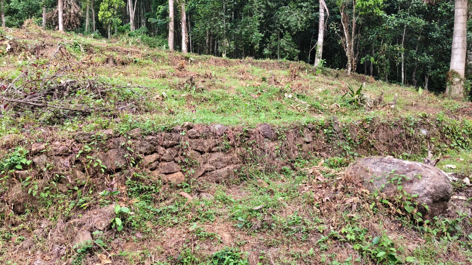 1 Acer 7 cents of Land