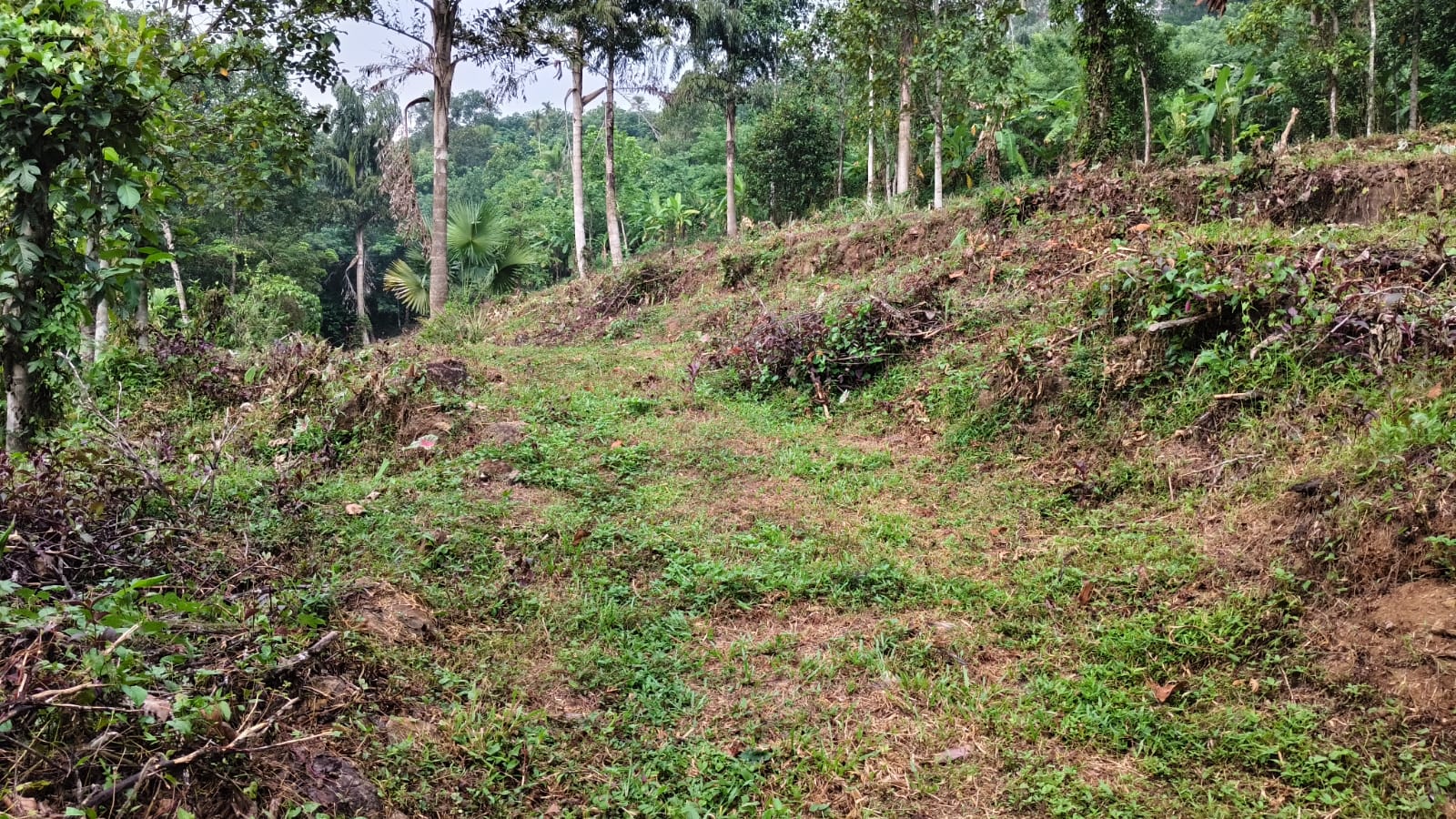 1 Acer 7 cents of Land