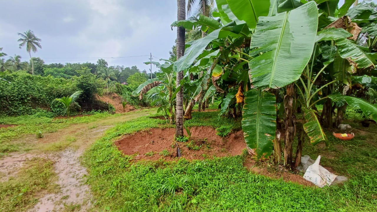 1 Acre 25 cents of Land - for sale in Palakkad, Palakkad, Kerala