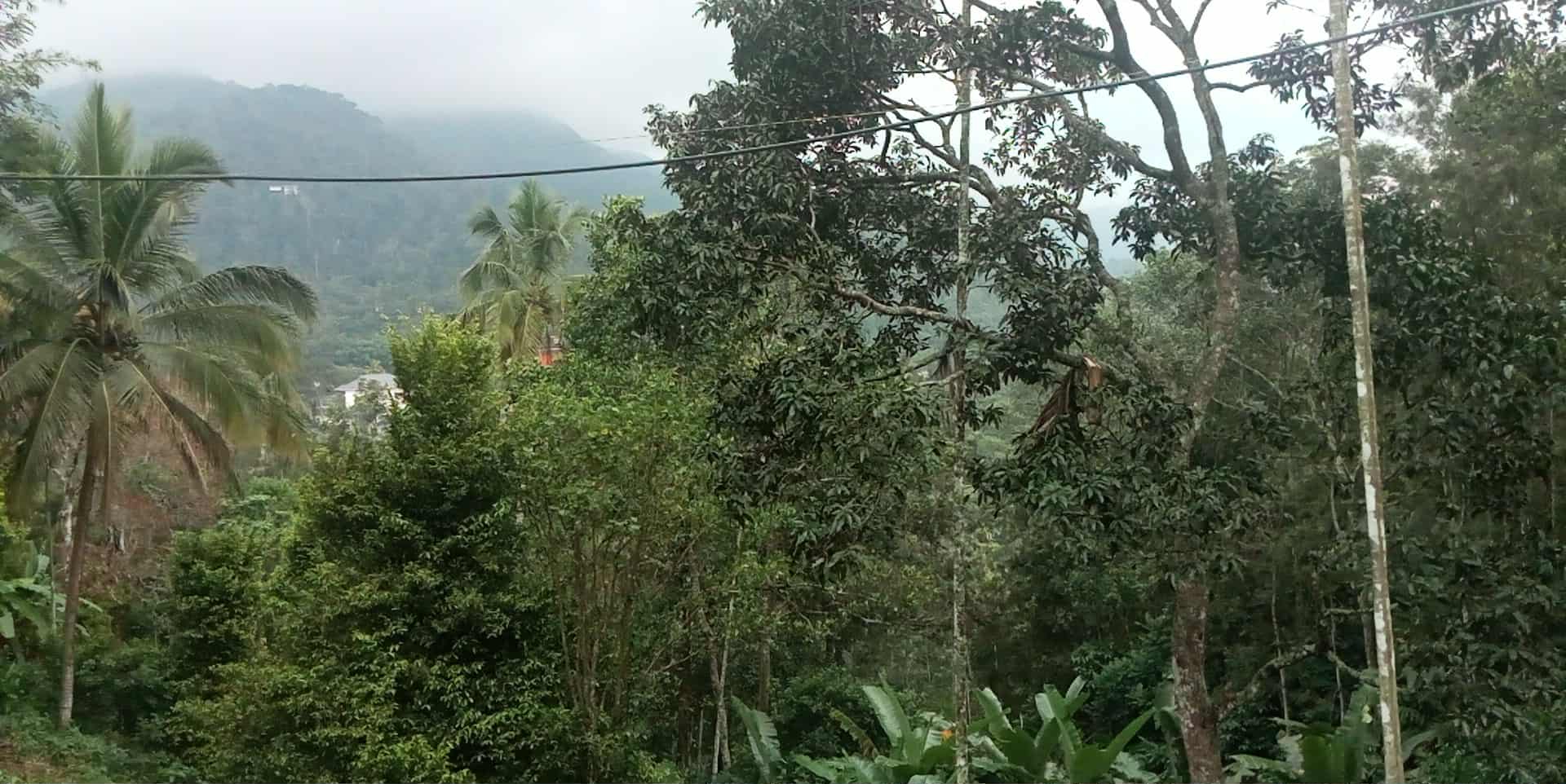 1 Acres of Land - for sale in Munnar, Kochi, Kerala