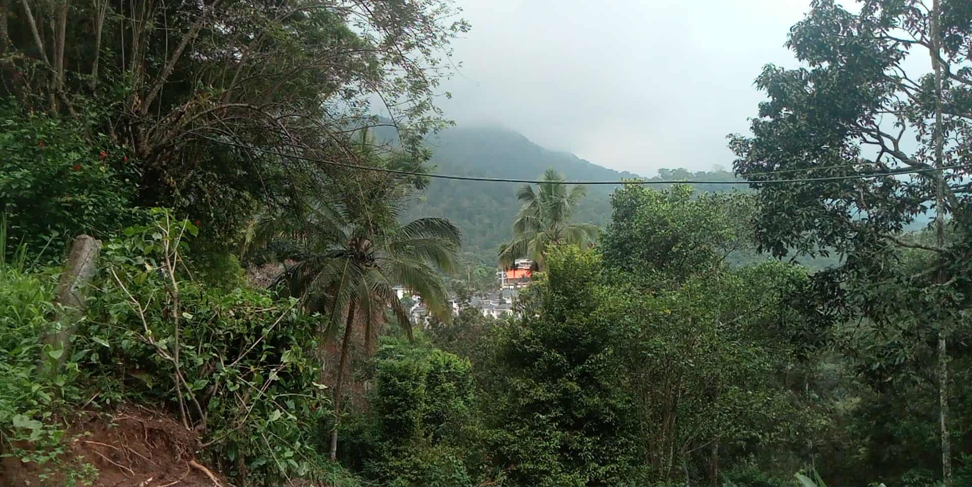 1 Acres of Land