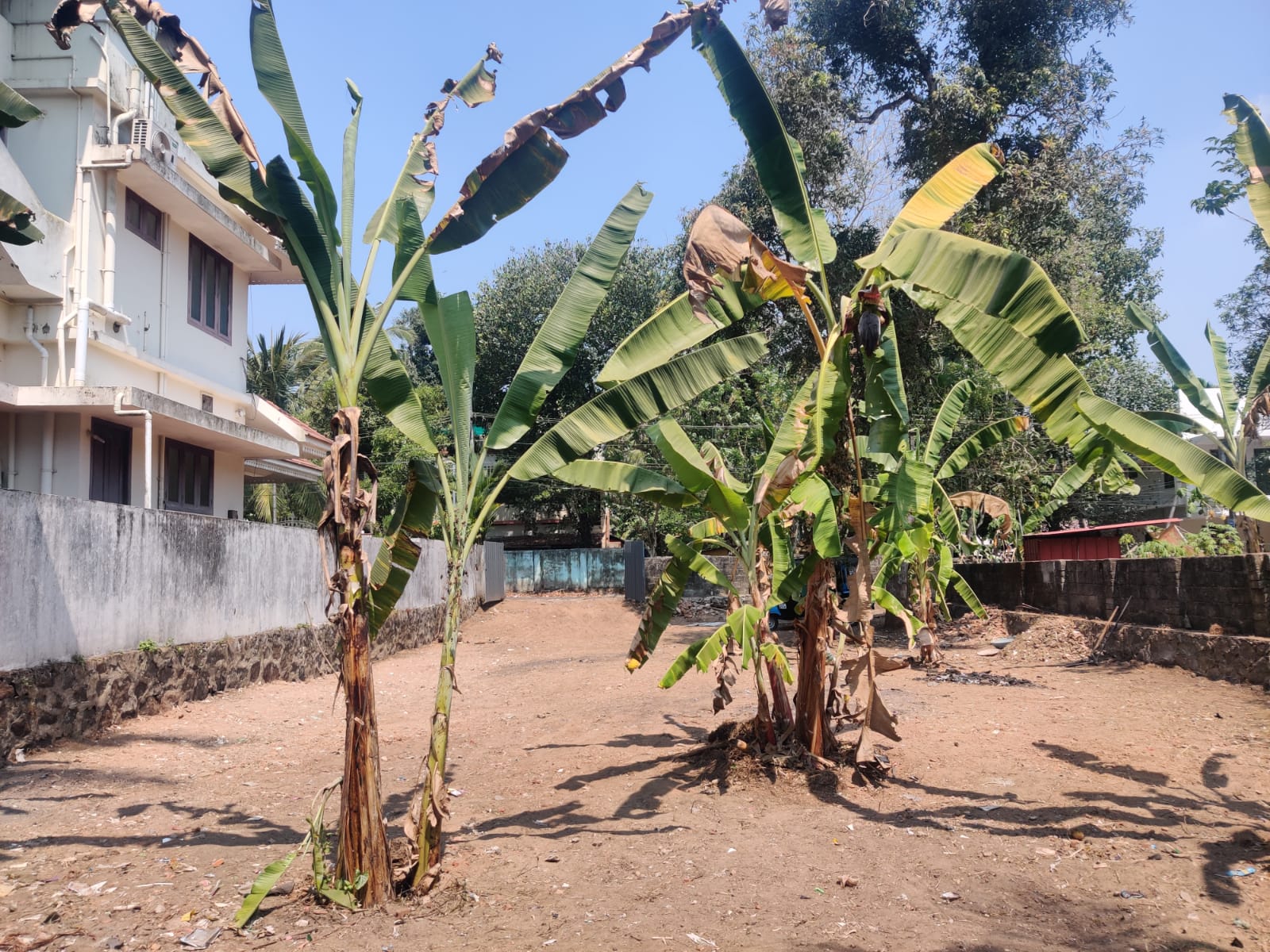 10.522 Cents of Land