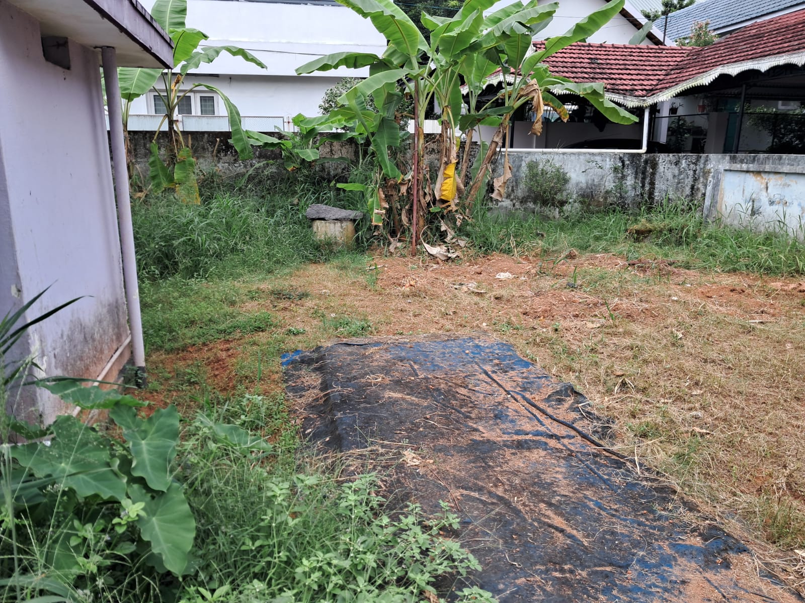 10 cents of Commercial Plot