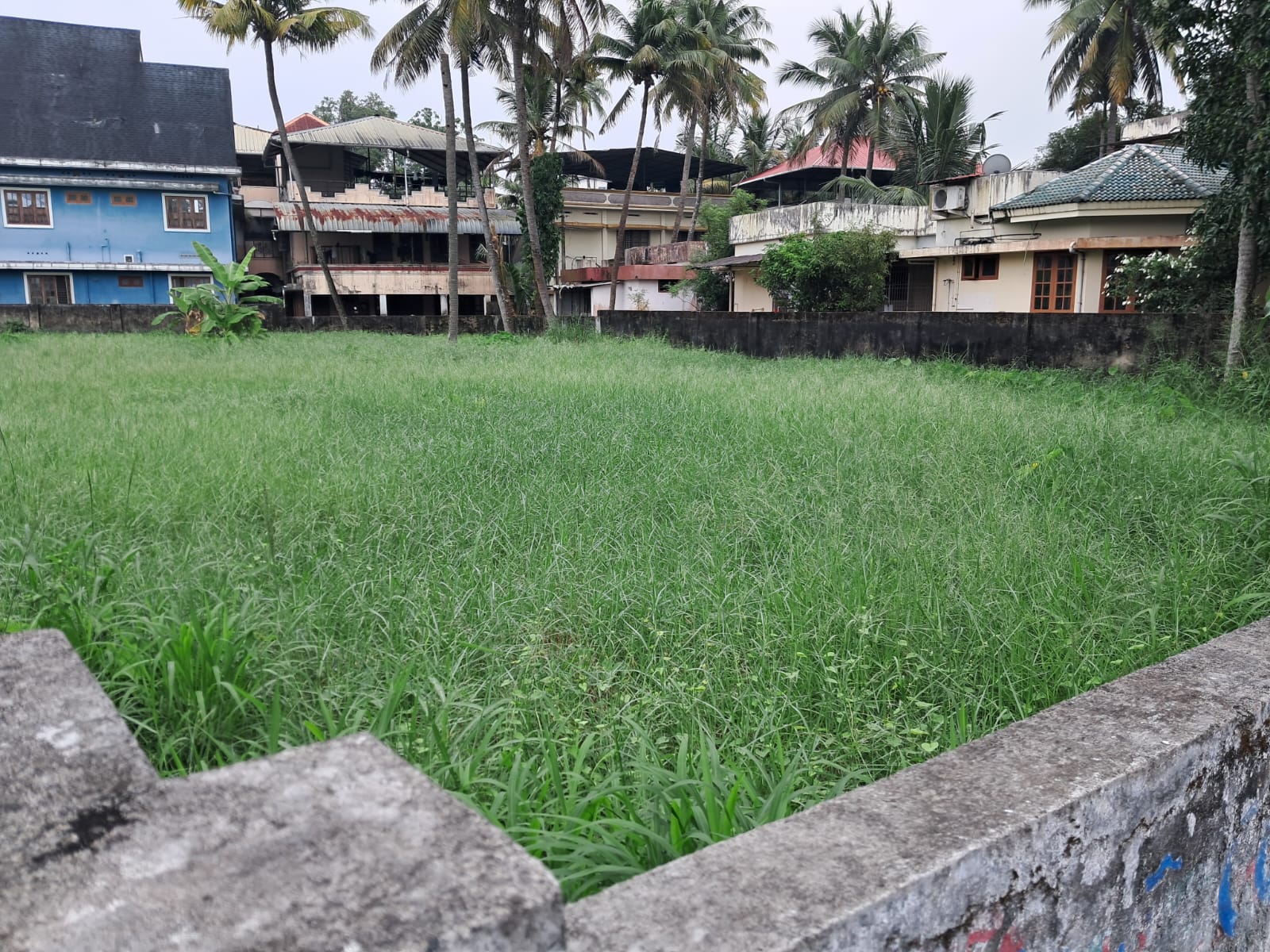 10 cents of Commercial Plot