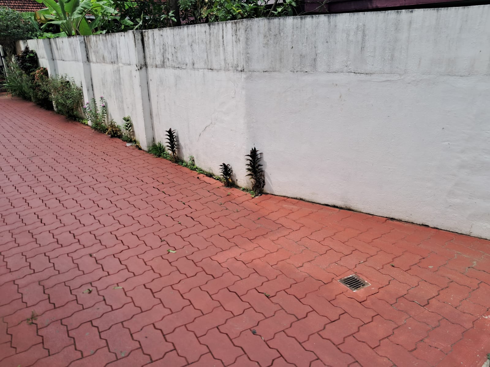 10 cents of Commercial Plot