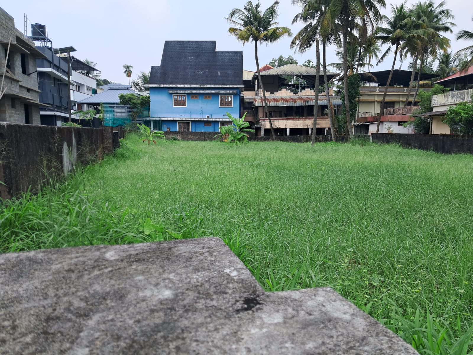 10 cents of Commercial Plot