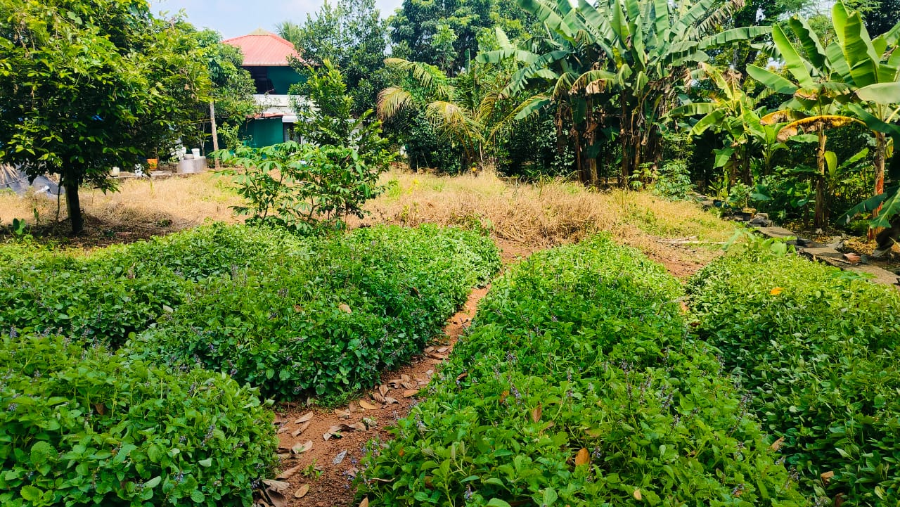 10 Cents of Land - for sale in Athani, Kochi, Kerala