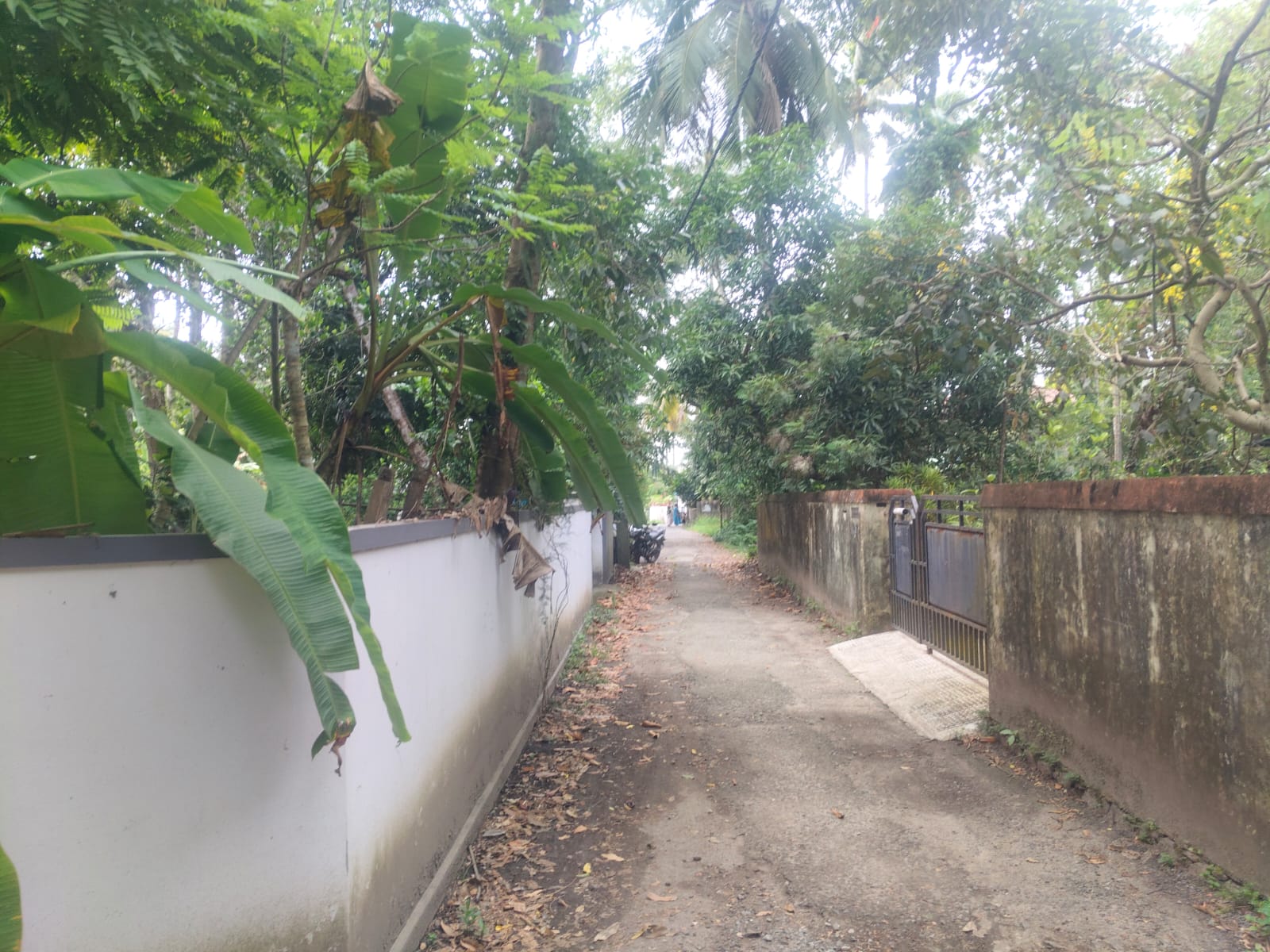 10 cents of Land with old house