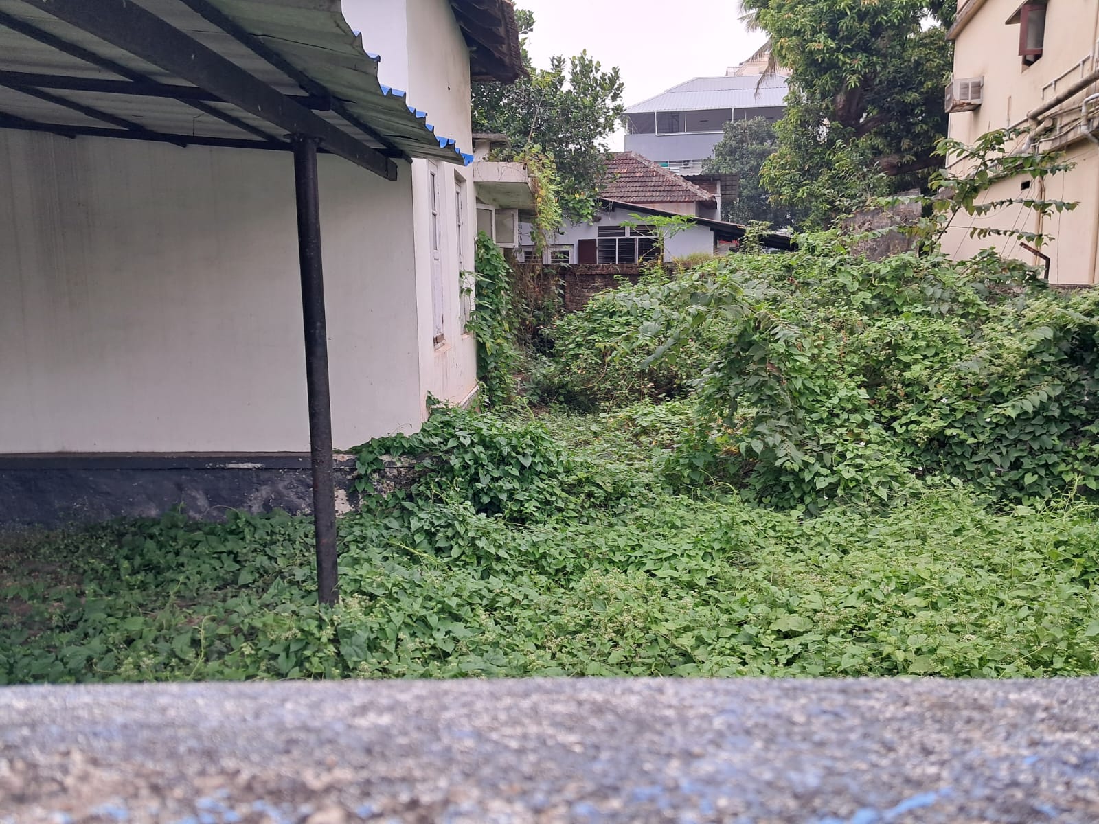 10 cents of Prime Commercial Property - for sale in Thevara, Kochi ( Ernakulam ), Kerala