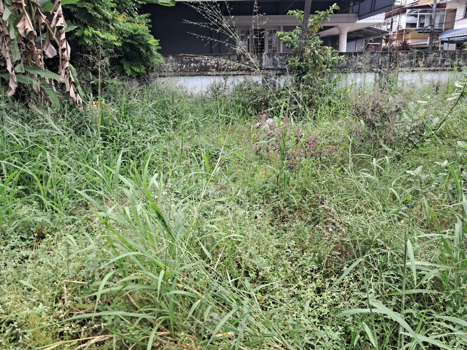 10 cents of prime Commercial property