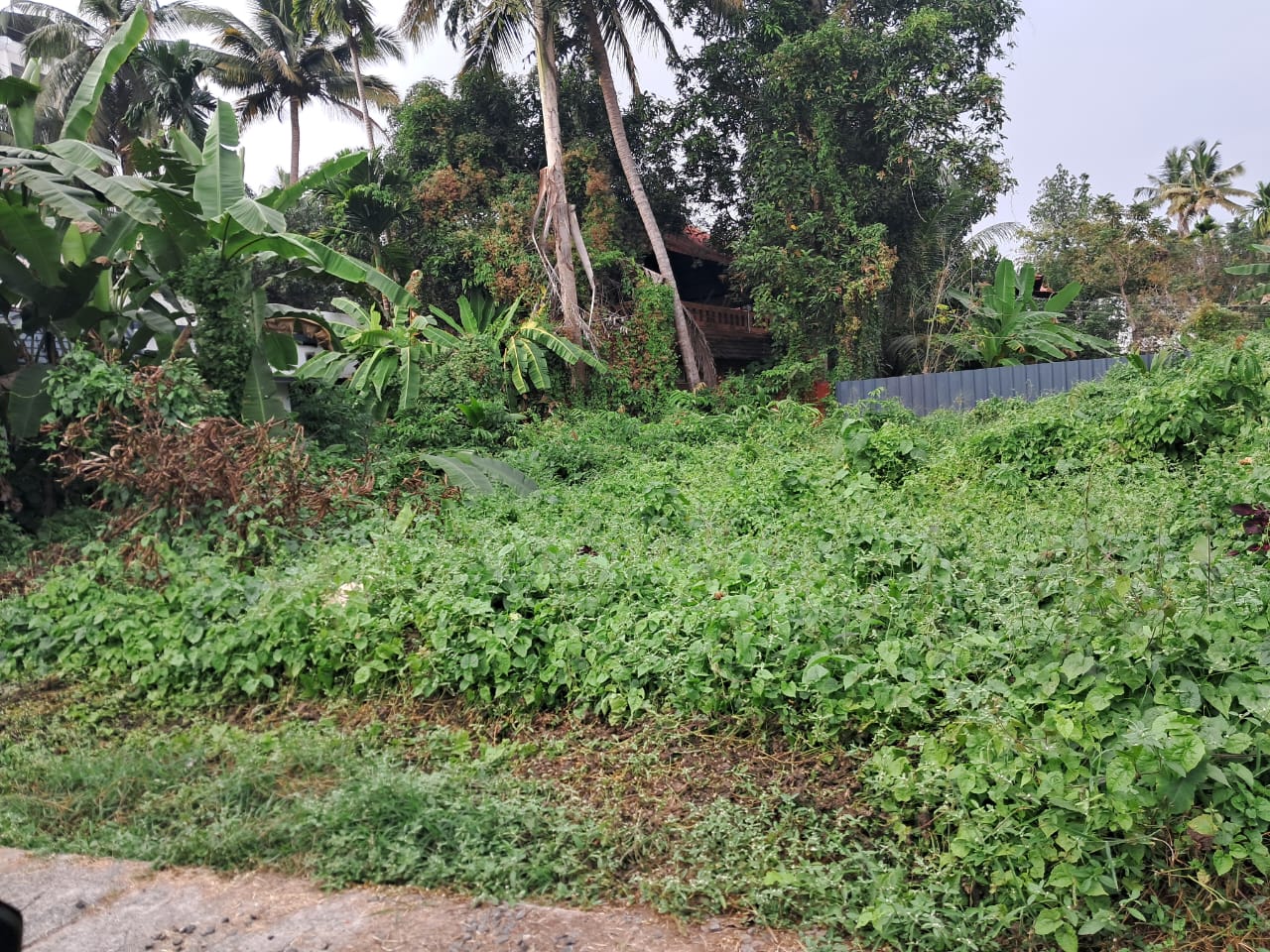 10 cents of Prime Residential Property - for sale in Maradu, Kochi ( Ernakulam ), Kerala