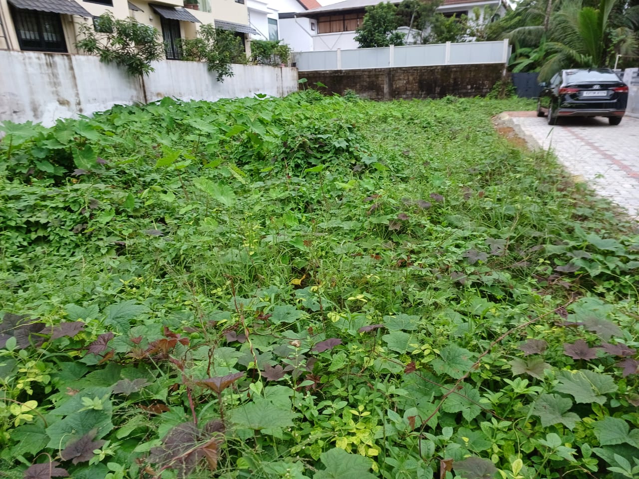 10 cents of Residential land in Maradu - for sale in Maradu, Kochi ( Ernakulam ), Kerala