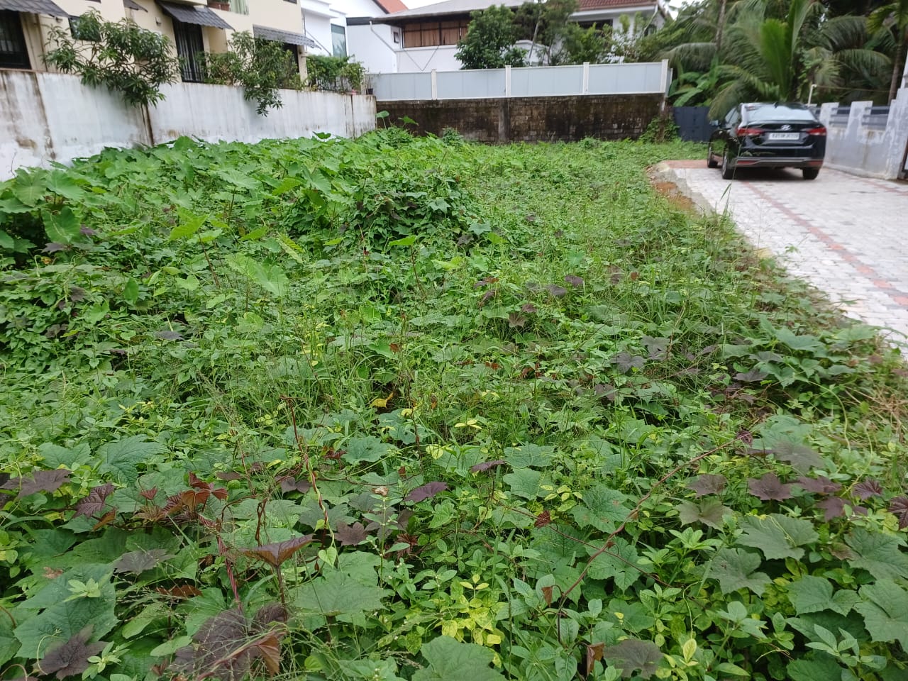 10 cents of Residential land in Maradu