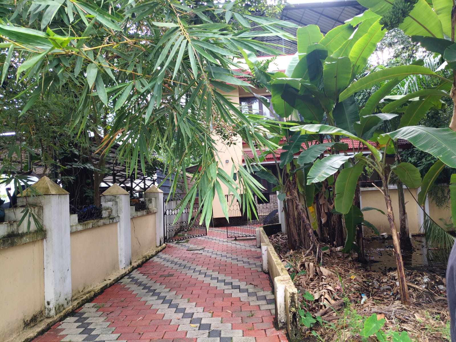 10cents of Commercial plot with 2600sqft old House in Kundanoor - for sale in Kundanoor, Kochi ( Ernakulam ), Kerala