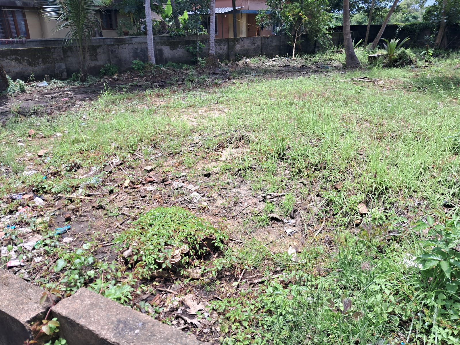 11.5Cents of Residential Property