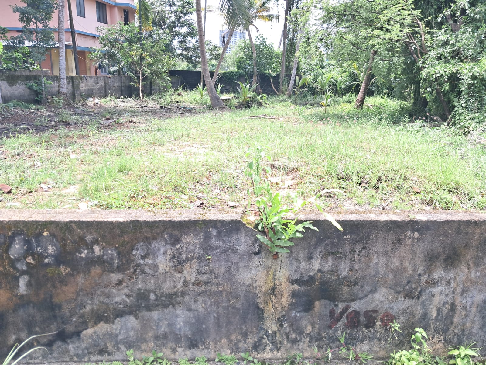 11.5Cents of Residential Property