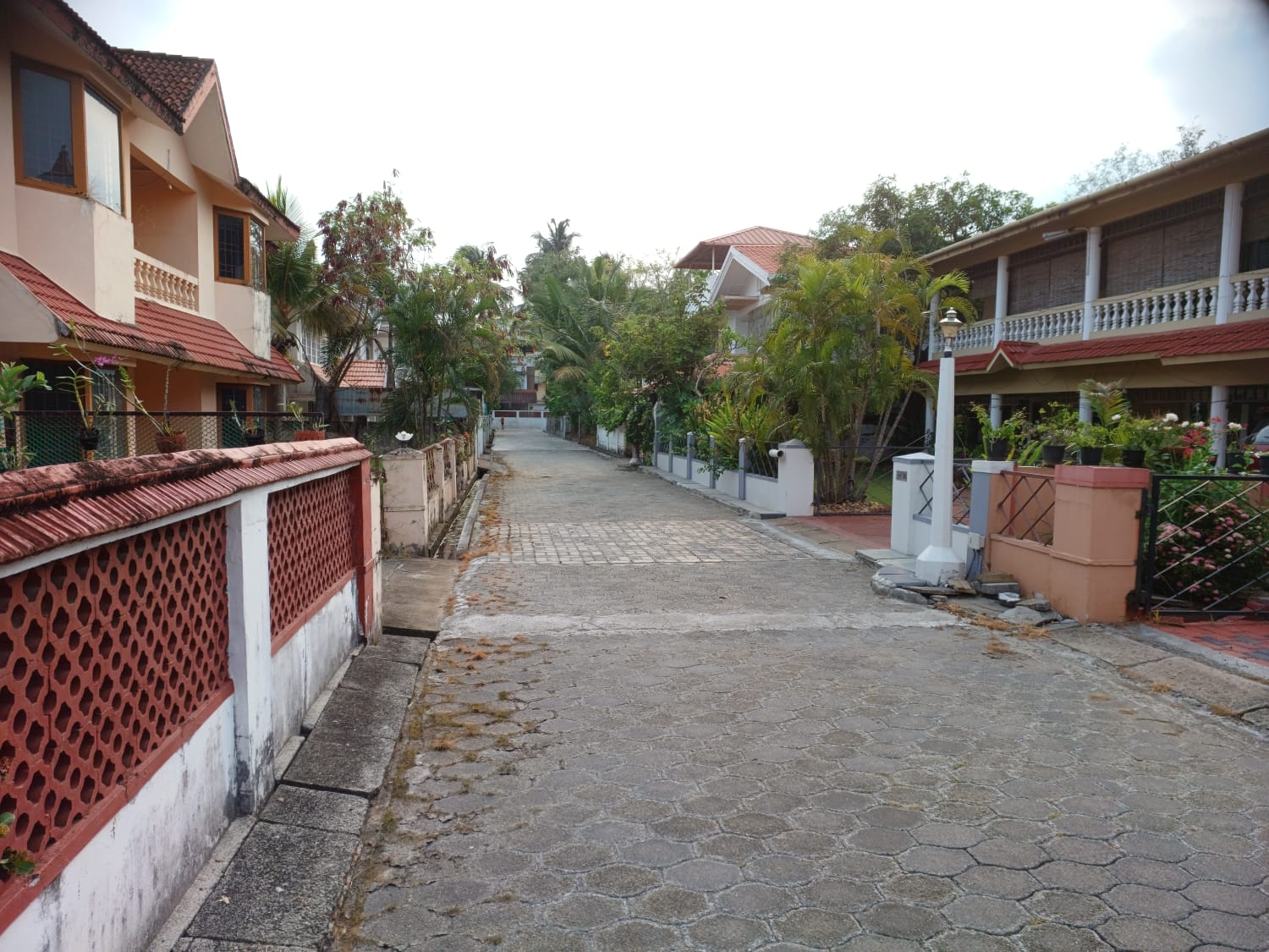 11.6 cents with old twin house in Premium gated villa