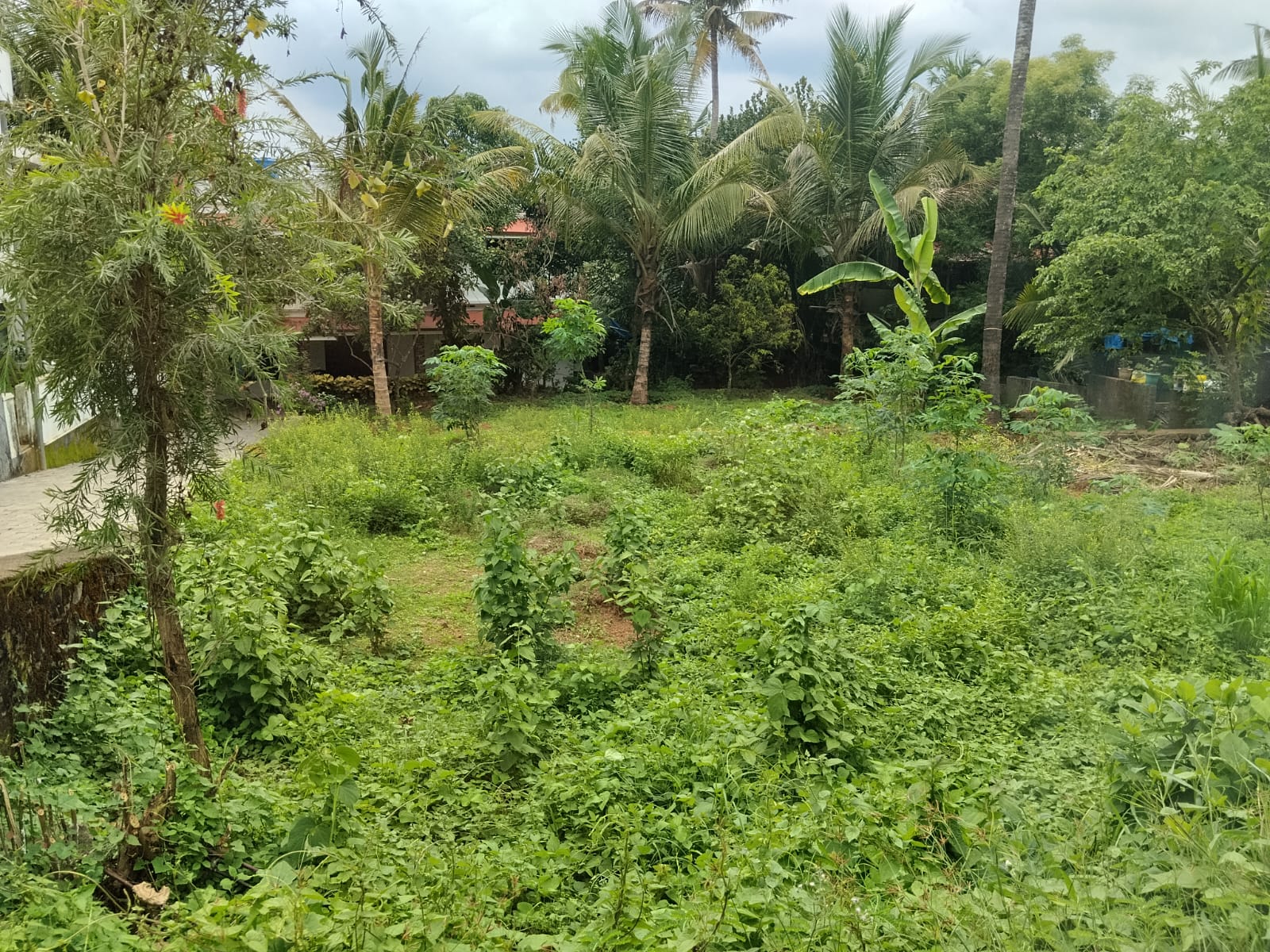 11 Cent of Land - for sale in Angamally, Kochi ( Ernakulam ), Kerala