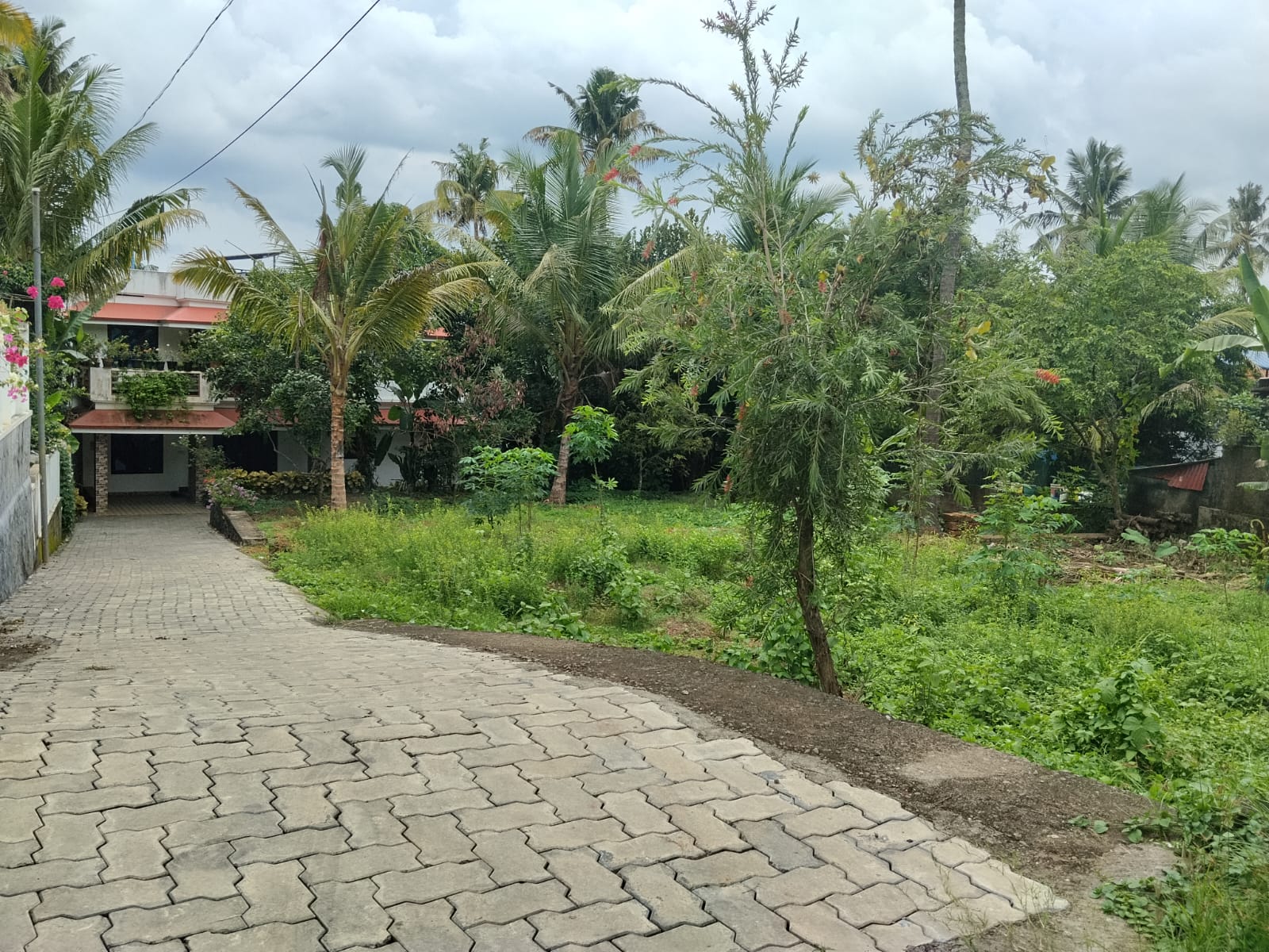 11 Cent of Land