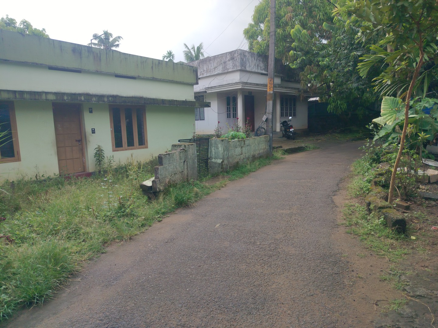 11 cents of Land with old House
