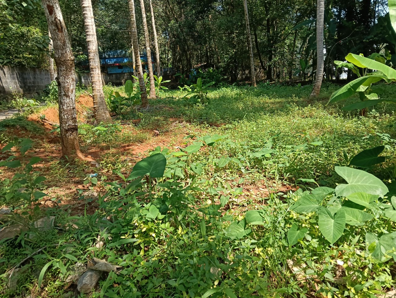 11 cents of Residential Land in Mangalapuram, Trivandrum
