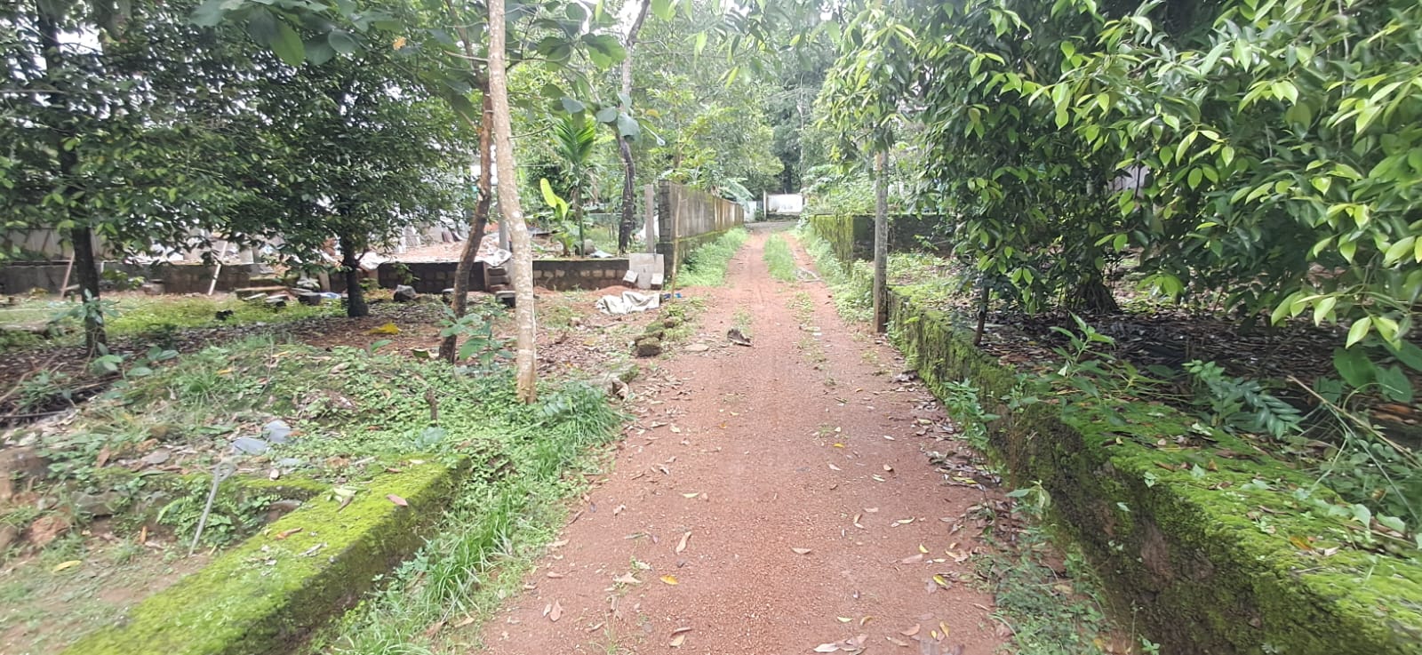 1100 sqft 3 bhk house in Angamaly Chambannoor