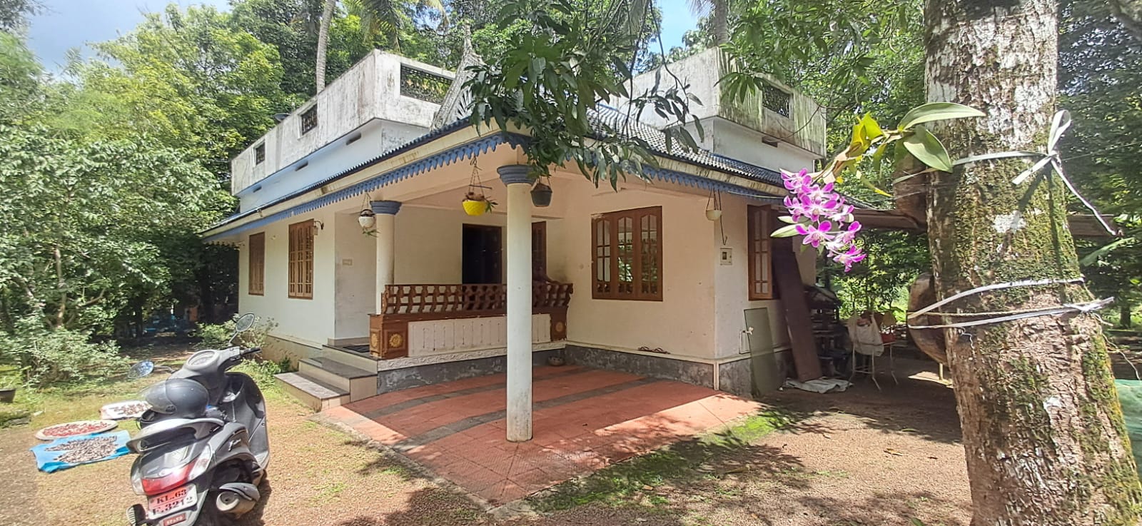 1100 sqft 3 bhk house in Angamaly Chambannoor