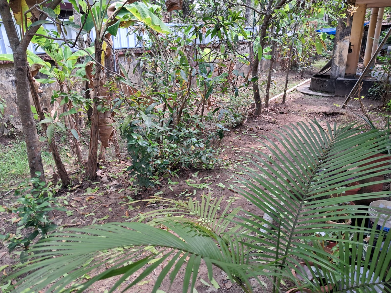 12.5 cents of prime residential property