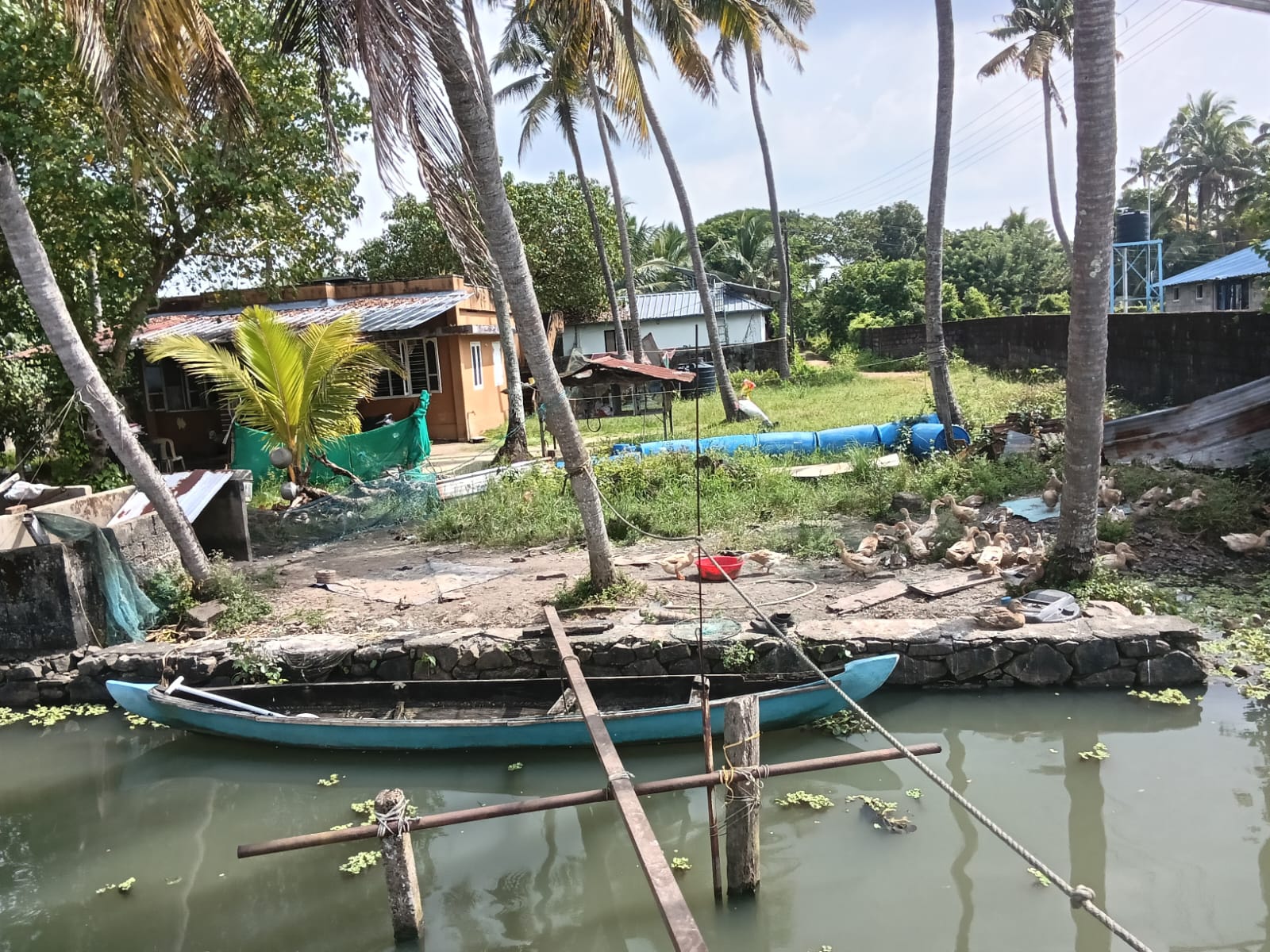 12.600 cent waterfront Land with old House - for sale in Madavana, Kochi ( Ernakulam ), Kerala
