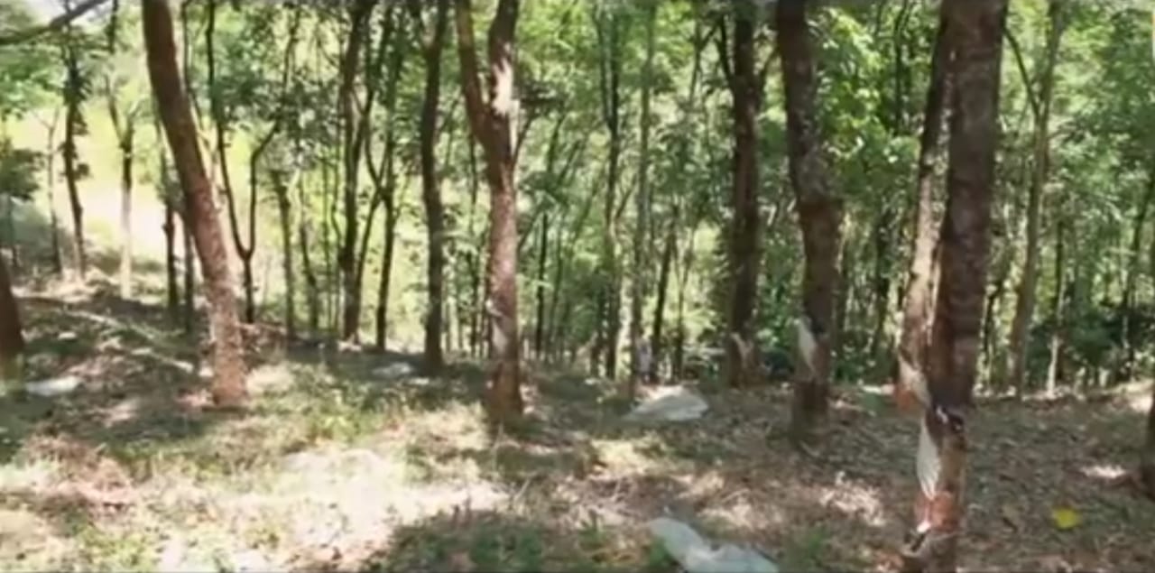 12 Acre of Land - for sale in Mankulam, Idukki, Kerala