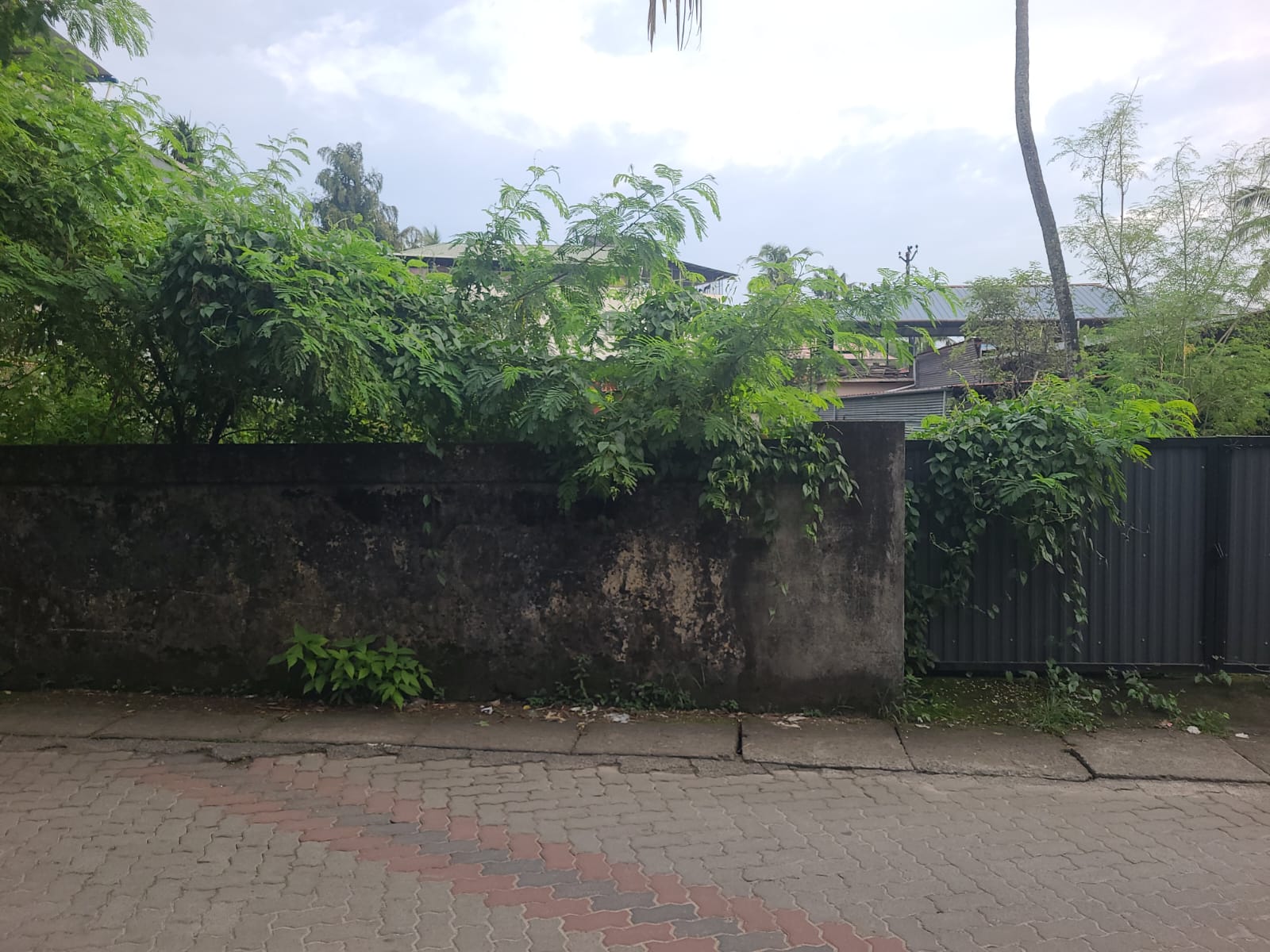 12 Cents of Commercial Plot - for sale in palarivattom, Kochi, Kerala