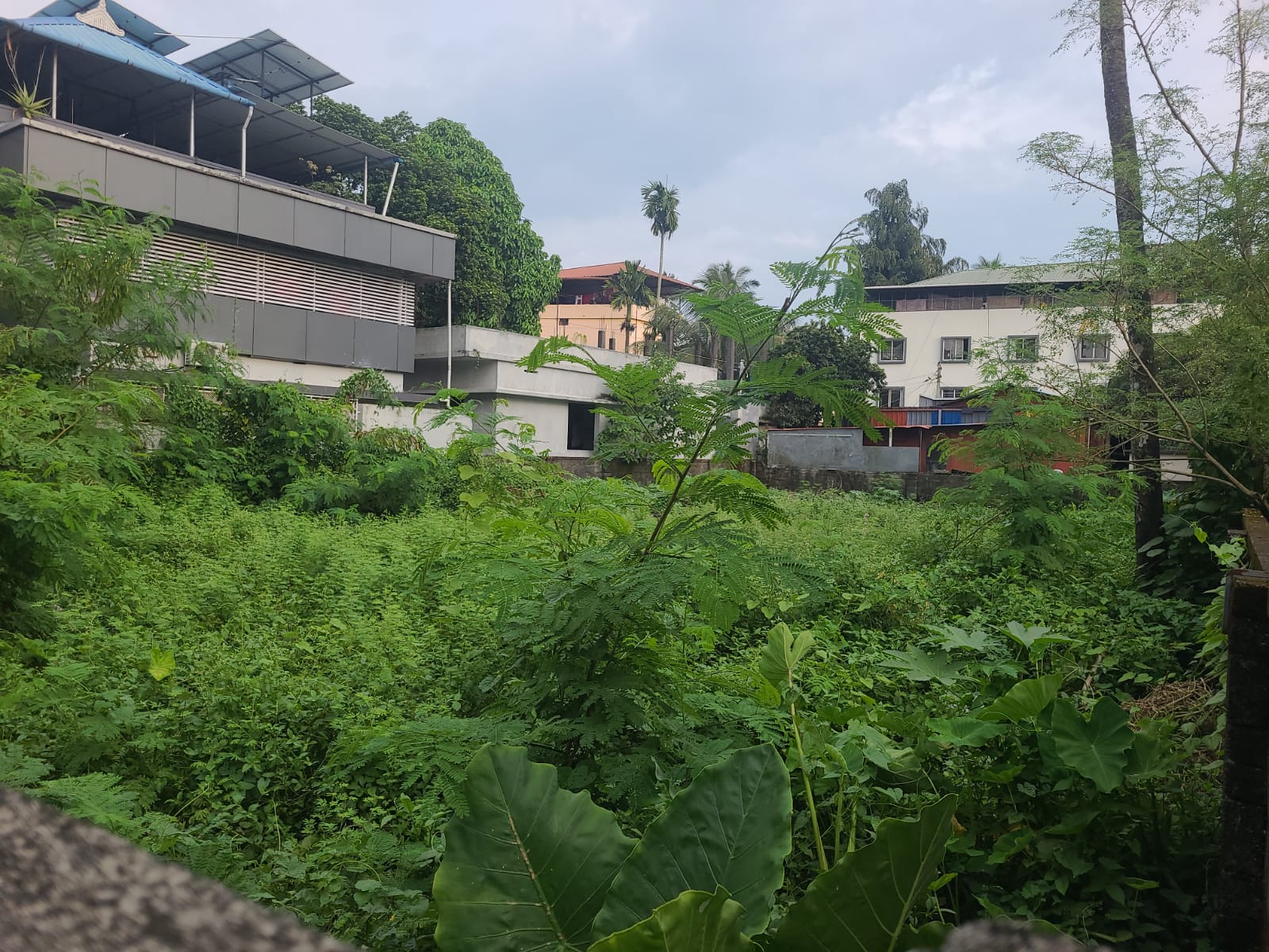 12 Cents of Commercial Plot