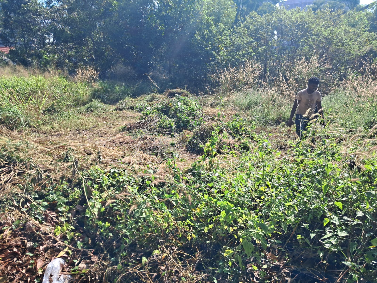 12 cents of Commercial Property - for sale in Kakkanad, Kochi ( Ernakulam ), Kerala