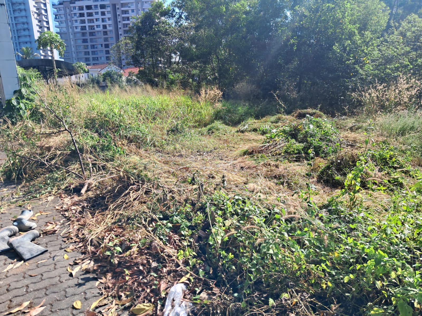 12 cents of Commercial Property