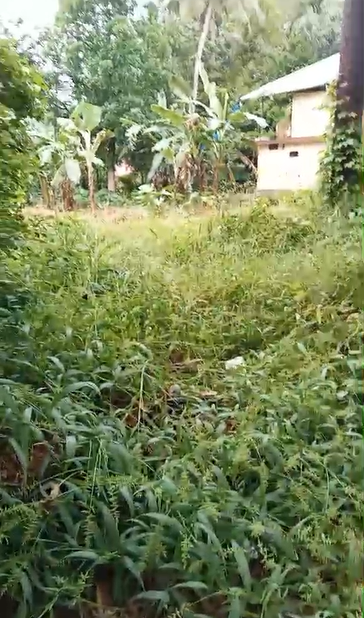 12 Cents of Land - for sale in Kizhakkambalam, Kochi, Kerala