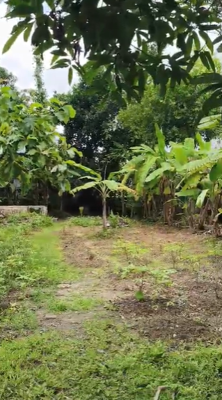 12 cents of Land - for sale in Thiruvankulam, Kochi ( Ernakulam ), Kerala