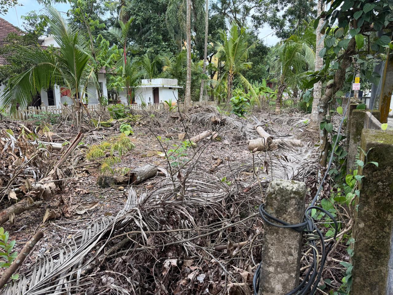 12 cents of Land