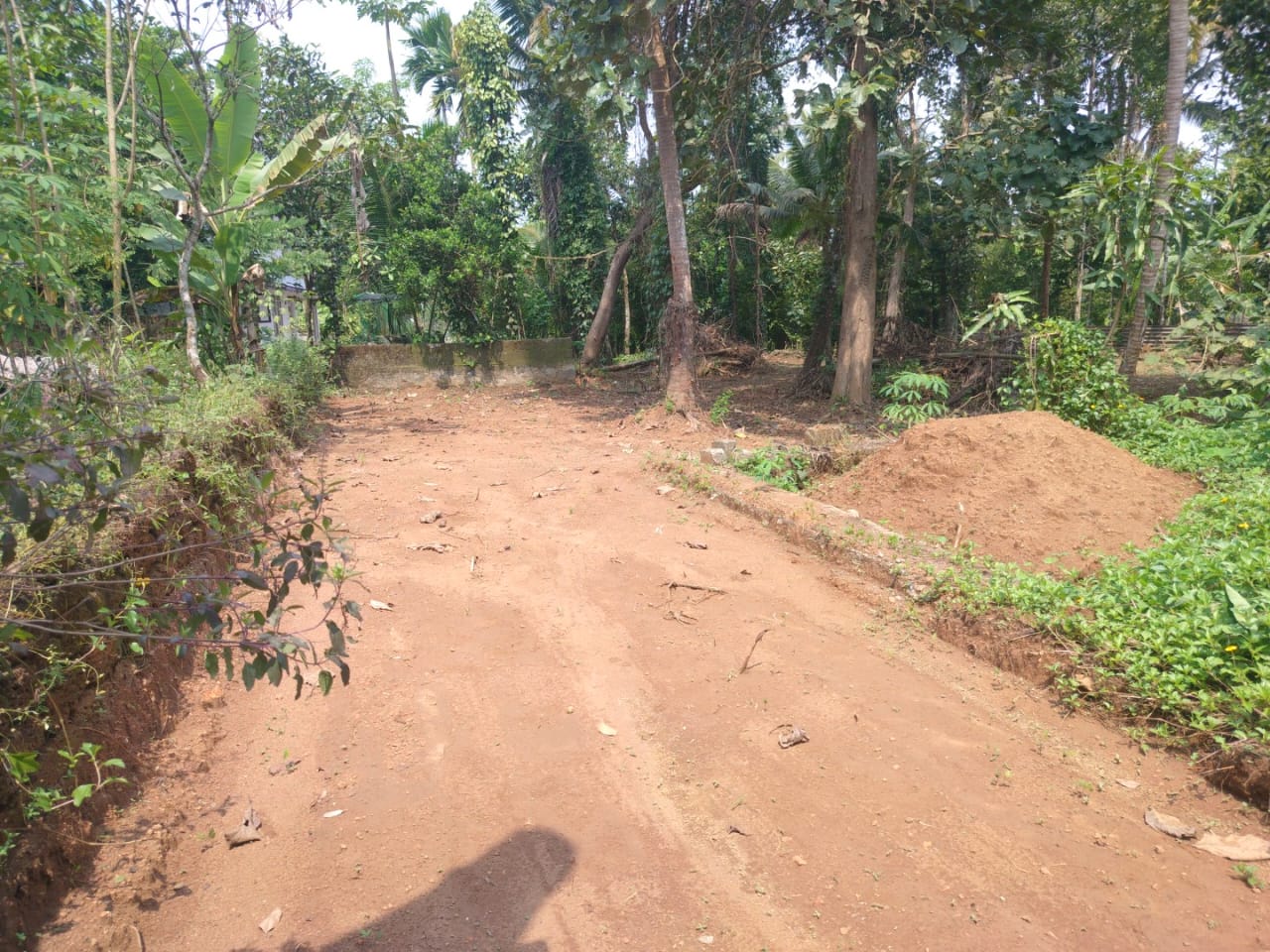 12 cents of Land