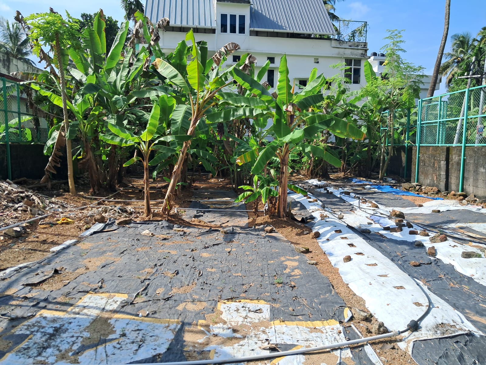 12Cents of Property - for sale in kadavanthra, Kochi, Kerala